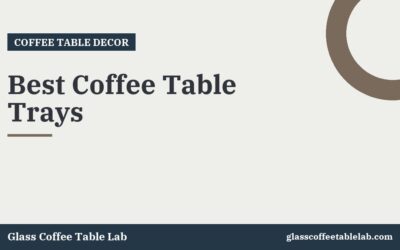 Best Coffee Table Trays